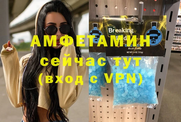хмурый Алексин
