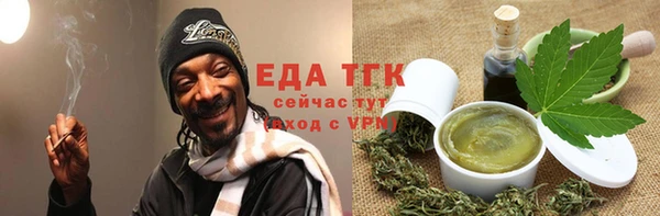 хмурый Алексин