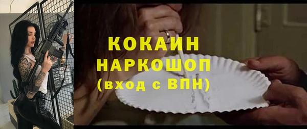 хмурый Алексин