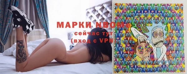 хмурый Алексин
