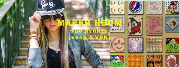 хмурый Алексин